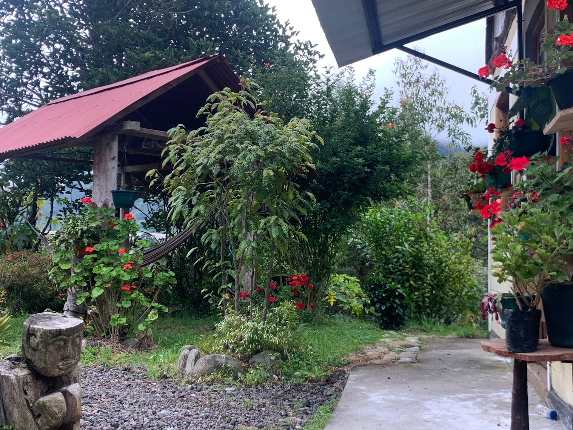 Sendero del jardín con flores